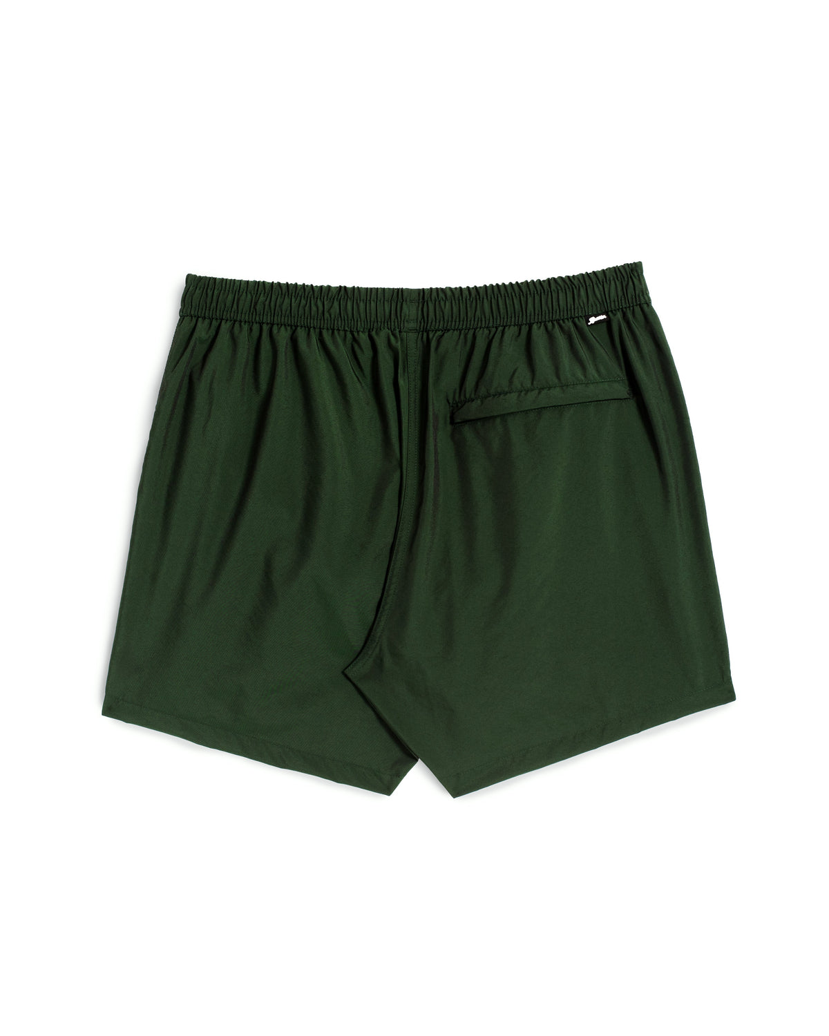 Iridescent Emerald Modern Trunk