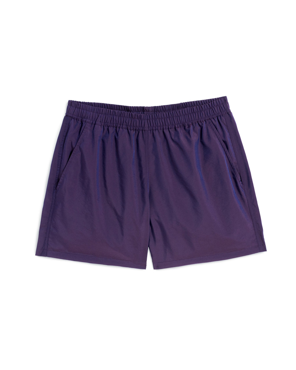 Iridescent Grape Modern Trunk