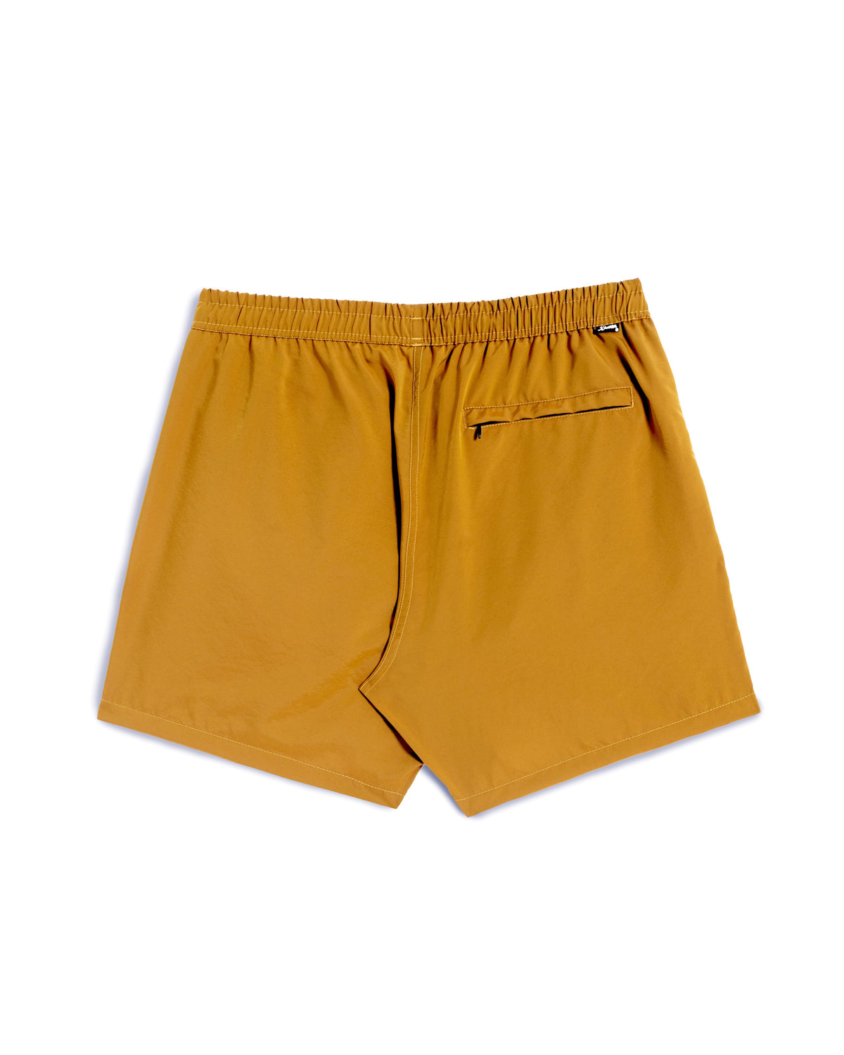 Iridescent Honey Modern Trunk
